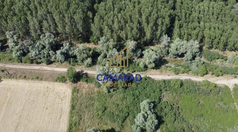 Teren de vanzare - deschidere la Dunare -Baltenii de Sus, comuna Bestepe, Tulcea - 4