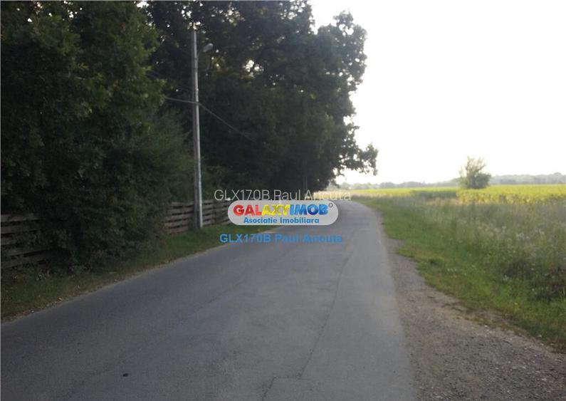 Teren Impadurit 1 Ha Corbeanca aviz defrisare pnt 2 case
