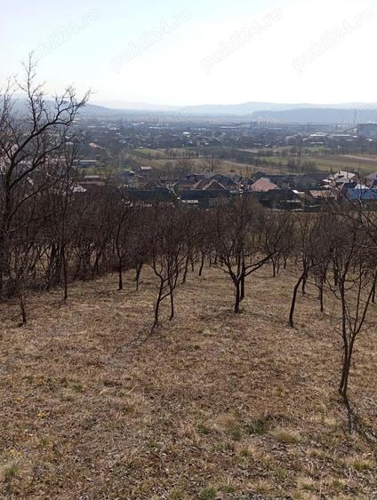 Casa individuala de vanzare, 3100 mp teren, loc. Cuzdrioara - 11