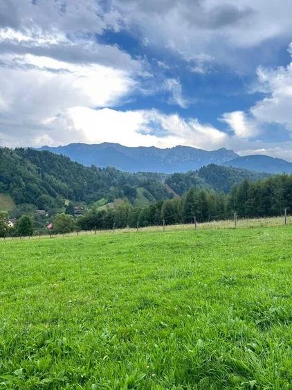 PROPRIETAR - 3274 mp intravilan Simon (BRAN) - 1