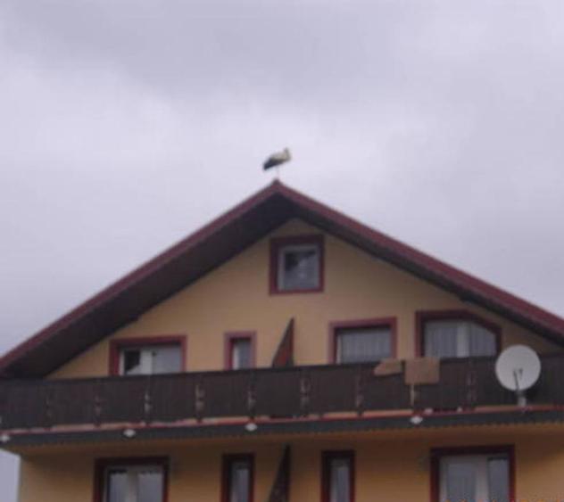 Predeal-Pensiune de vanzare  - 8