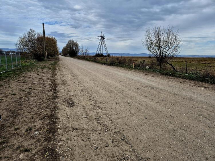 Teren constructie hala/depozit/mica insdustrie/service auto, Halchiu - 3