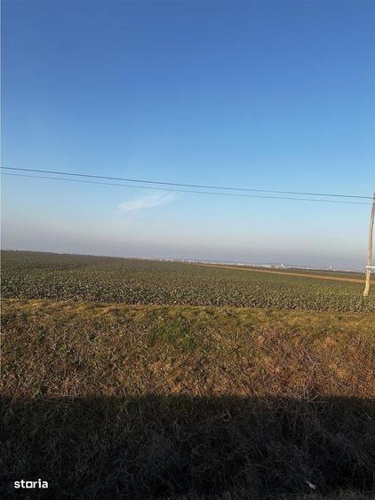 Teren Industrial Oradea spre Livada - 2