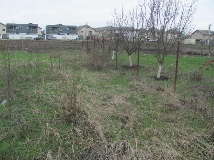 Prelungirea Ghencea - Safirului - 5