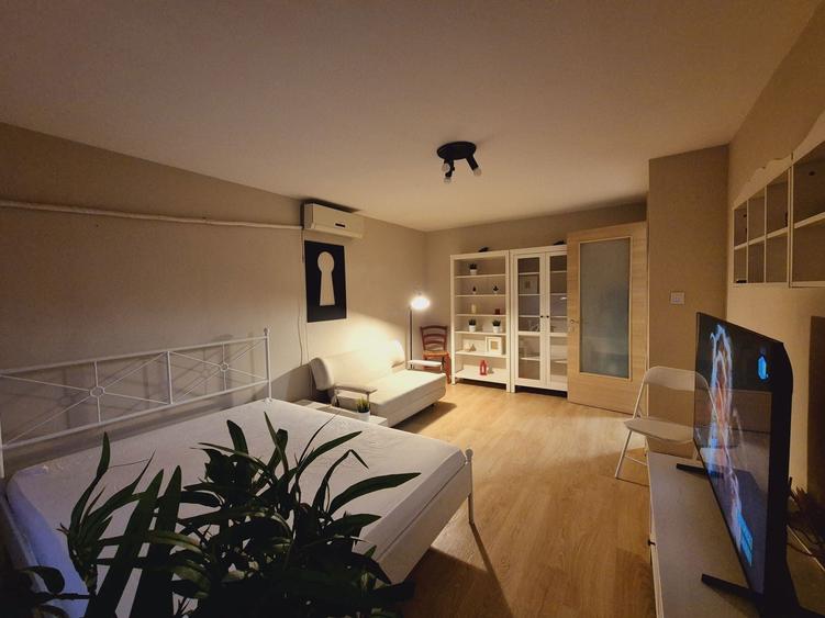 Garsoniera de inchiriat , Lacul Tei , Proprietar - 5