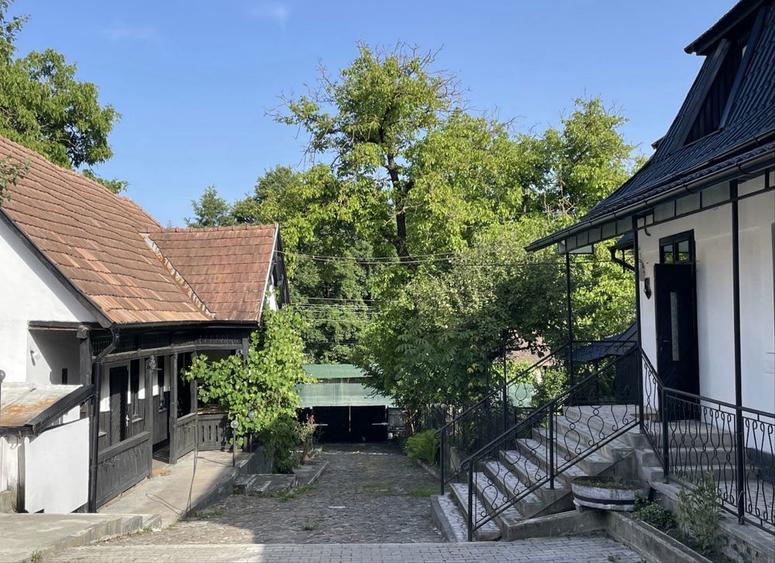 Complex rural 3 cladiri locuibile | 4731 mp teren | Damieni zonaSovata - 3