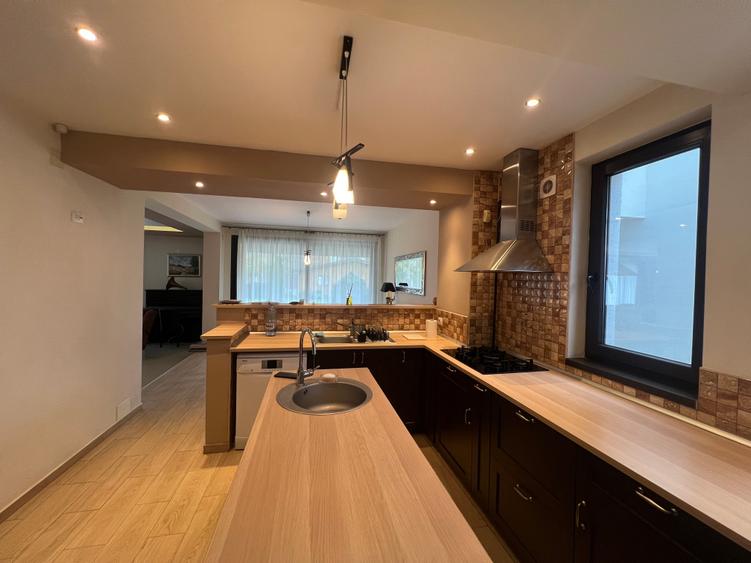 Dimitrie Leonida Metrou - 23