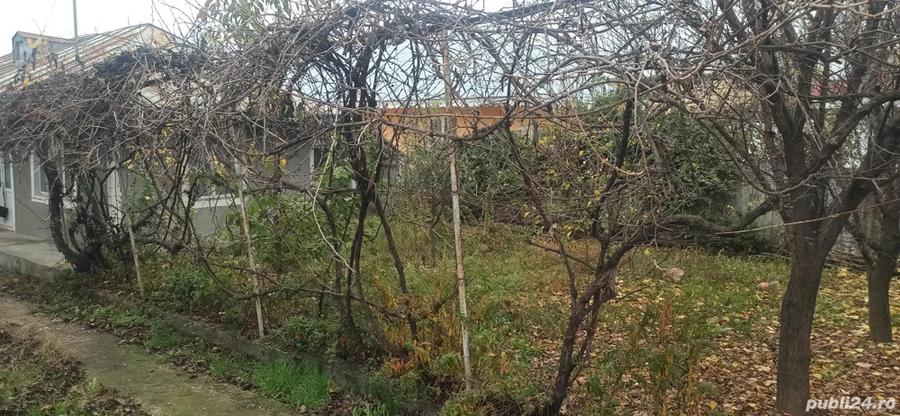 Casa Ivesti - centru - 2