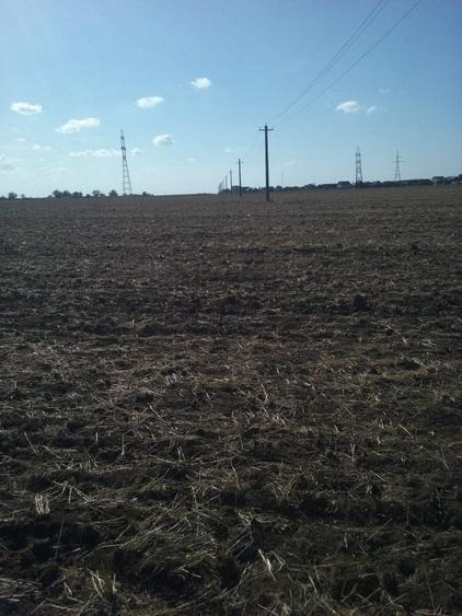 Exclusiv! Teren extravilan 10.000 mp - Cumpana - Malul canalului (Cod E3) - 7