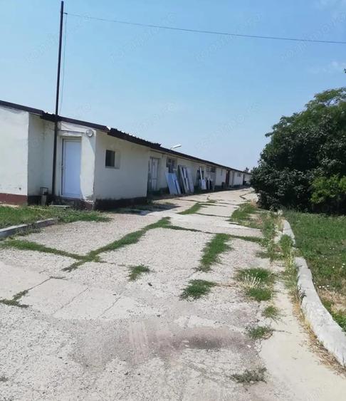 Inchiriere spatiu depozitare 440mp Silistea Snagovului - 3