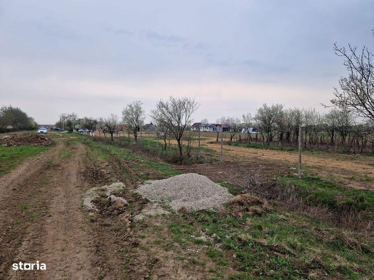Teren intravilan in Cionchesti dublu front stradal, 12.5 ari - 4