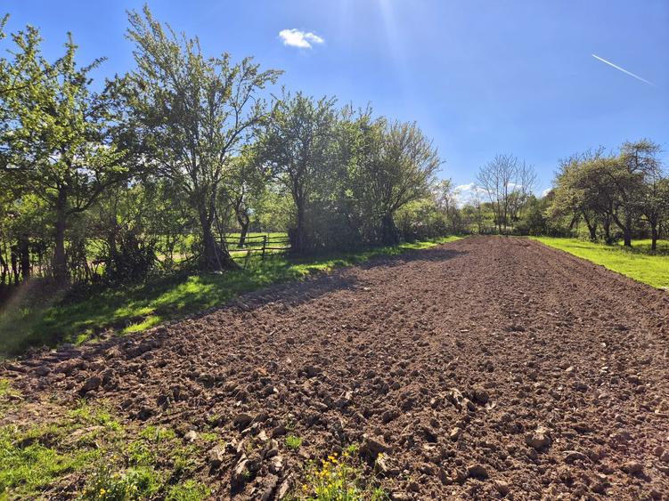 Comision 0 %/ Teren intravilan Sercaita 2247 mp - 10