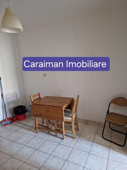 OBOR, COLENTINA, TEIUL DOAMNEI SECTIA 7 POLITIE - 3