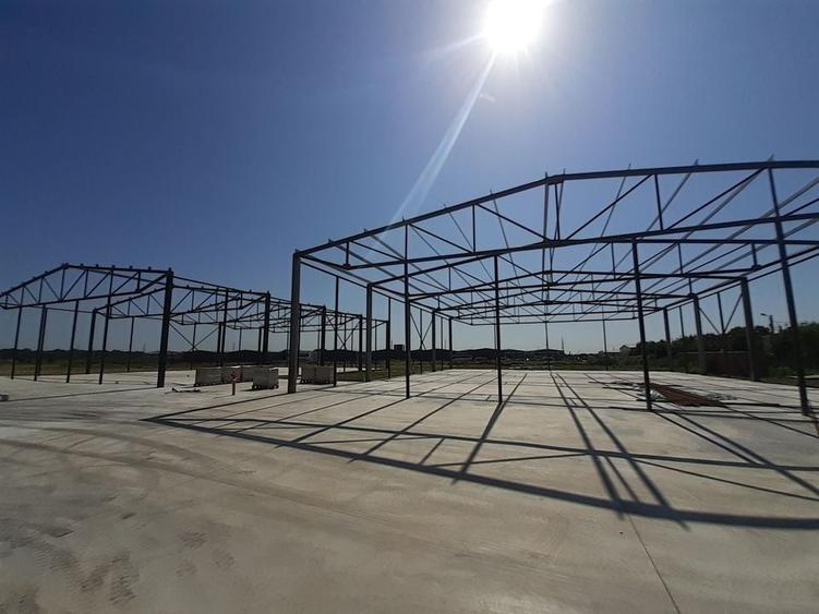 Hale noi in zona Gara Catelu, Drumul Intre Tarlale - 4