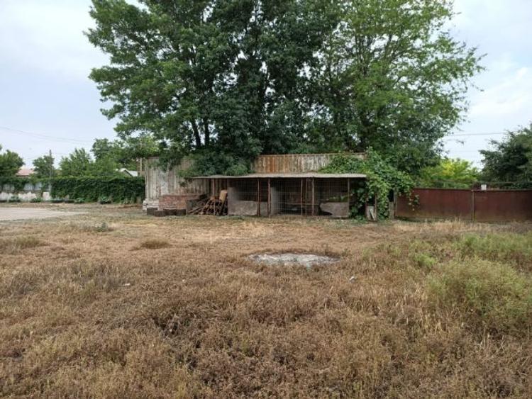 Fabrica de morărit grau porumb  - 7