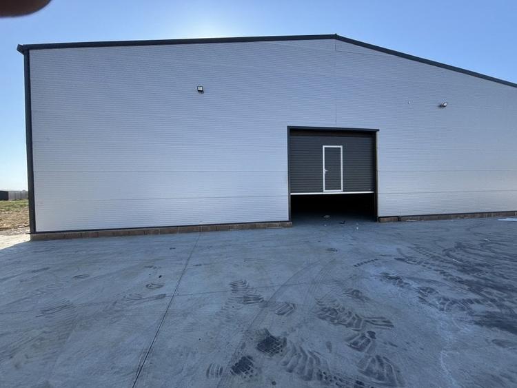 Hala 600 mp de vanzare - 2