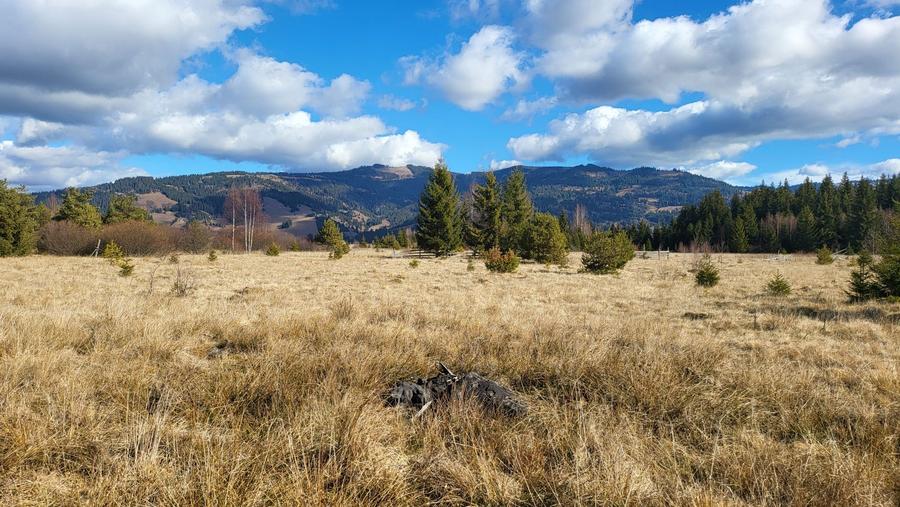 Teren de vanzare Saru Dornei 2euro / mp - 6