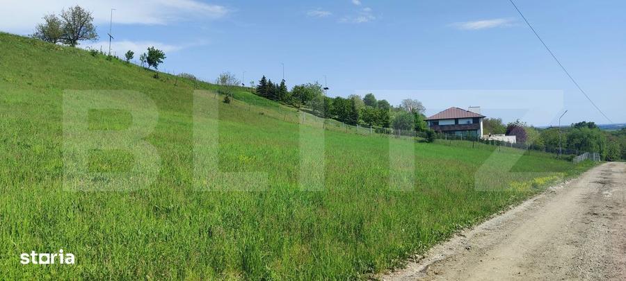 Teren Panoramic 15.500 mp Investitie sau Dezvoltare, Zona Aleea Ma - 9