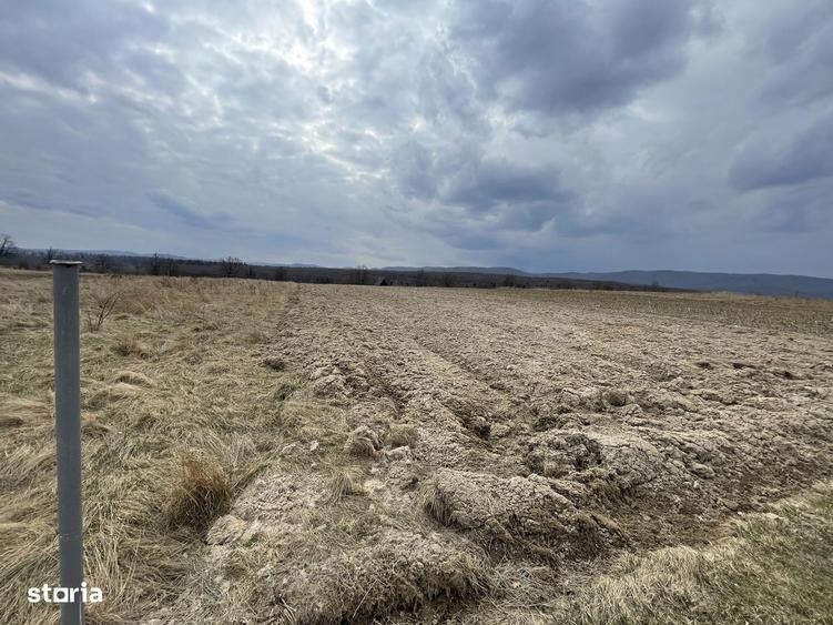 TEREN EXTRAVILAN | 23 ARI | HORODNIC DE SUS - 5