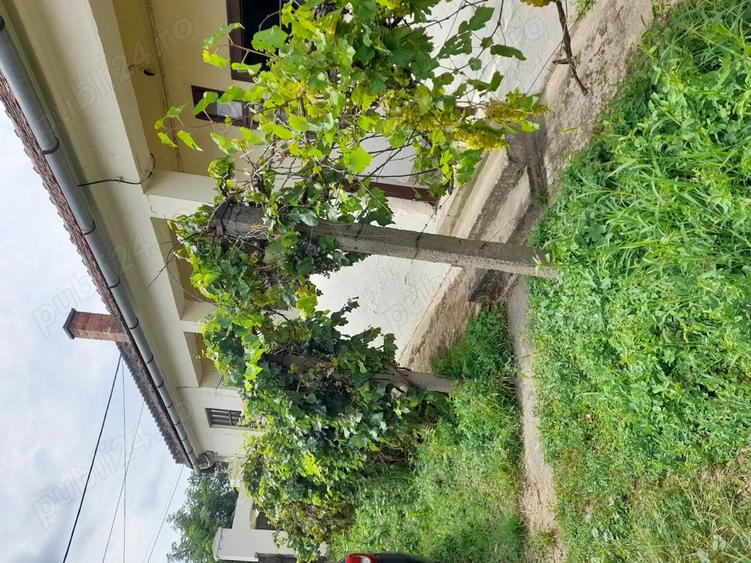 Casa de vanzare in Pocsaj Ungaria - 3