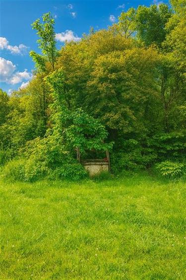 Domeniu verde autentic,  +5.000mp, front la DJ, Valcele, Brasov -- Covasna - 5