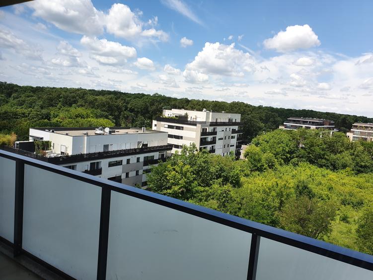 Iancu Nicoae/Privighetorilor/Apartament cu 2 camere/ - 1