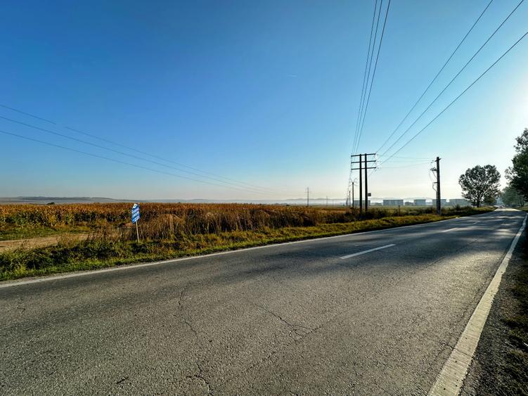 Vanzare teren 10.000mp Calea Surii Mici, direct de la proprietar! - 5