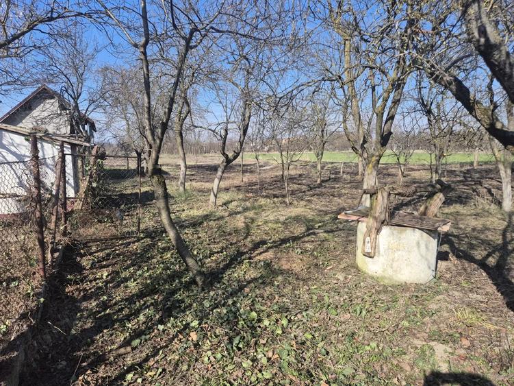 Casa de vanzare in Adea - 3