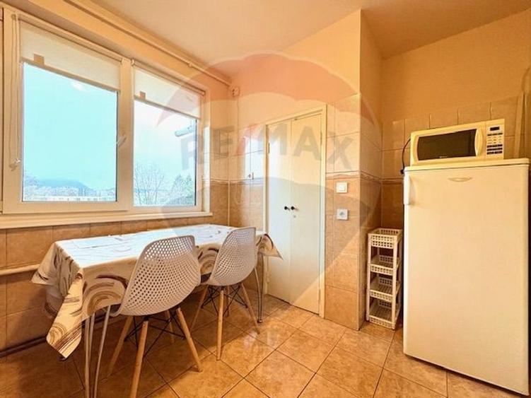 Apartament 2 camere de inchiriat - B-dul. Saturn 41 Brasov - 9