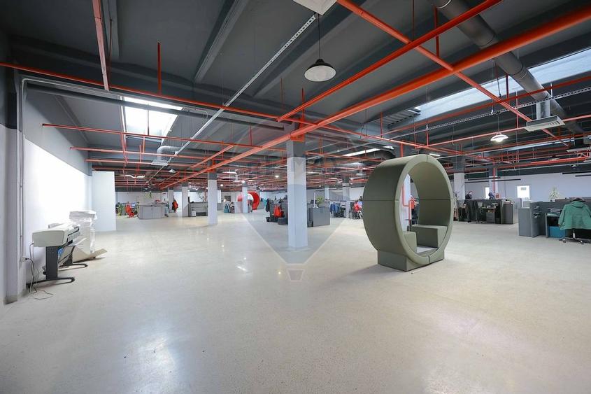 De vanzare spatiu industrial PGS Sofa, calea Borsului - 10