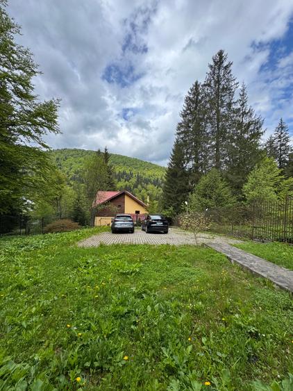 Casa de vacanta Predeal - 15