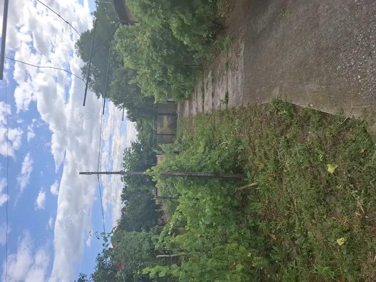 VIND casa curte Afumati - 2