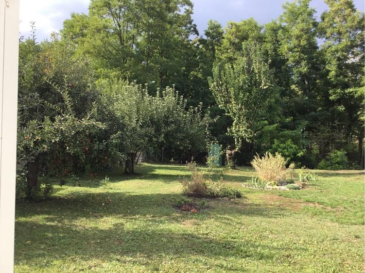 Vand sau schimb casa cu gradina - 7