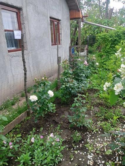 Casa de vanzare la 55km de Bucuresti - 5