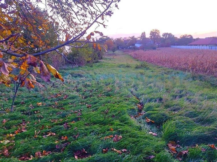 Gaminvest Teren cu  priveliște panoramică în Episcopia Bihorului, V3870 - 1