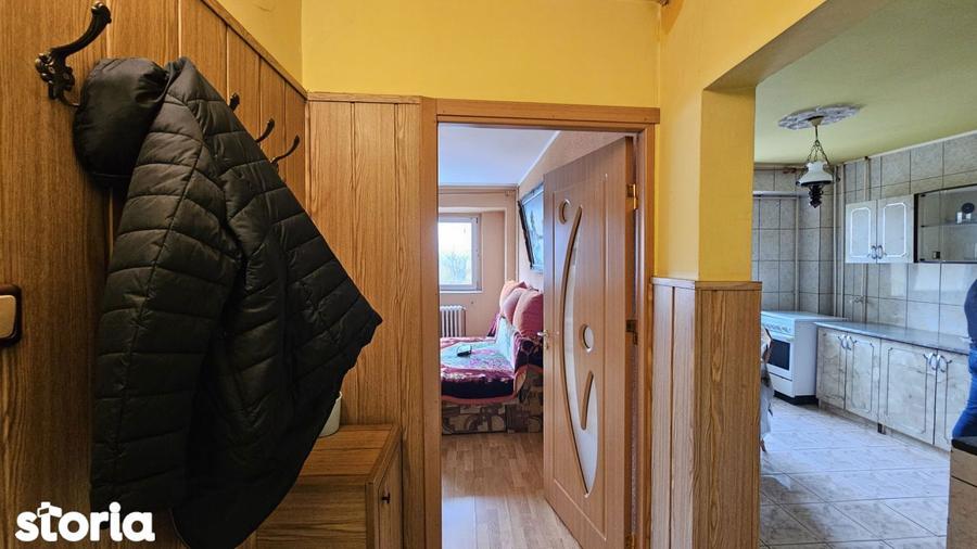 Apartament 2 camere decomandat, pet friendly, str Tasnad - 3