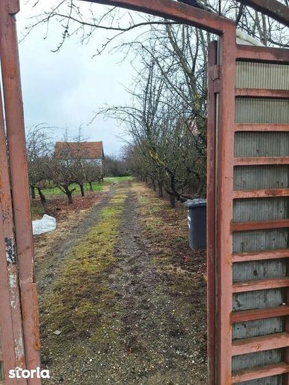 Teren 2500 mp,toate utilitatile -SAFTICA - 3