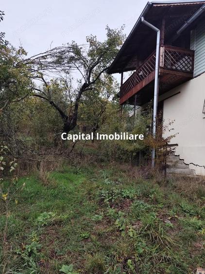 Casa Veche, Central Drajna de Jos 5000 mp - 5