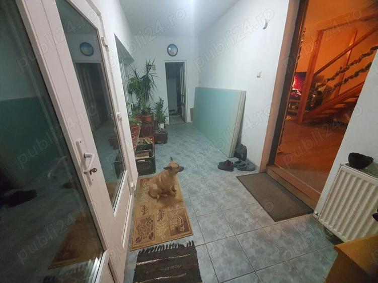 Vand casa in Minis - 5