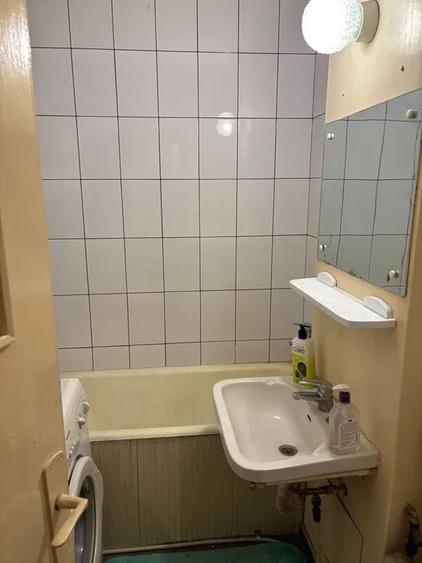 Lacul Tei, Parcul Circului, Lidl, Mega Image, semistradal 1/4 dec 28mp mob - 5