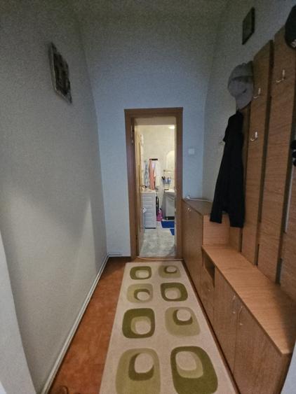 3 cam in Vila | 70 mp | 2 boxe 10 mp | Pod 30 mp | Decebal | Alba Iulia - 14