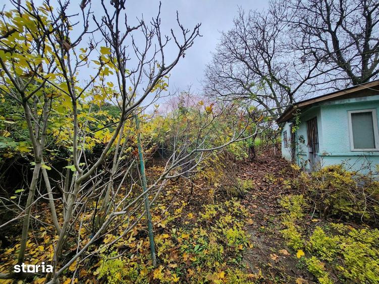 Teren 2200 mp + Casa, sat Frasinu, Giurgiu - 5
