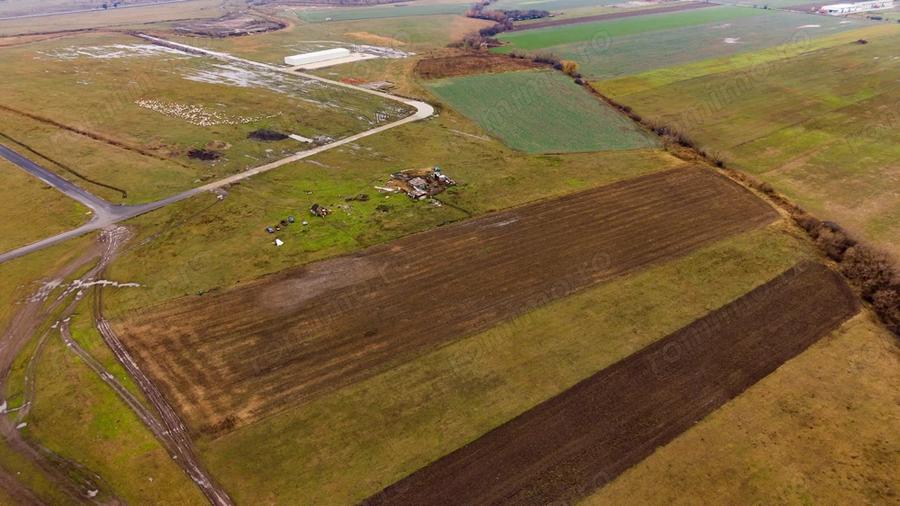 Teren de 5000 mp, în Nord