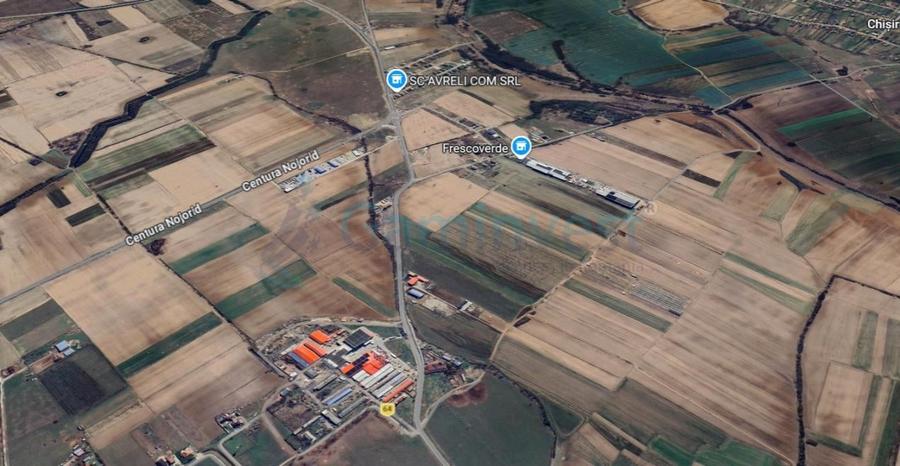 Teren Construcții de 8690 mp, în Nojorid