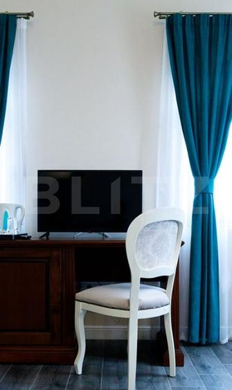 Hotel/Pensiune, de 1,197.5300292969 mp, în Botiz