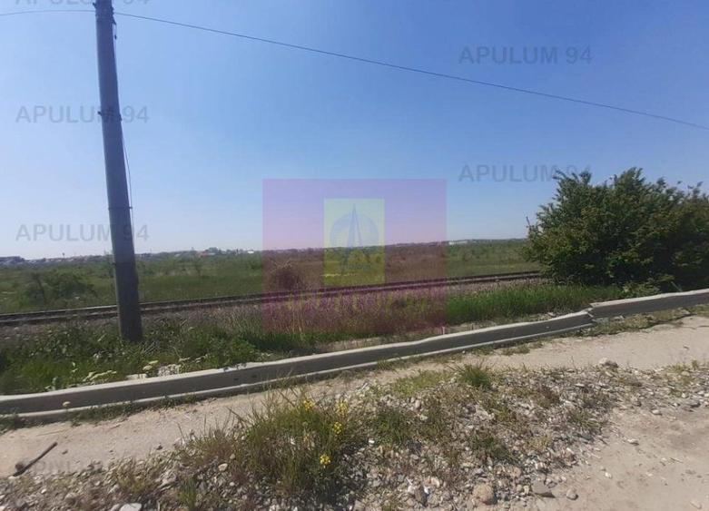 Teren Construcții intravilan de 29000 mp, în Est