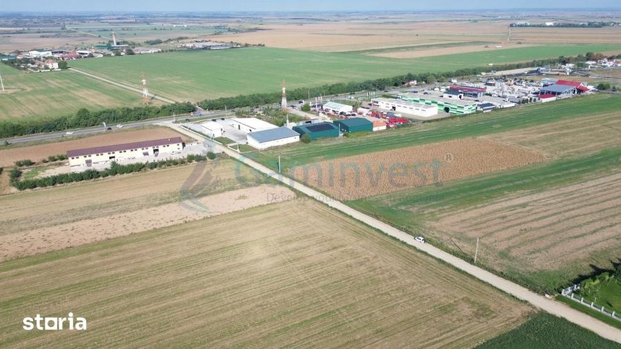 Teren de 10000 mp, în Biharia
