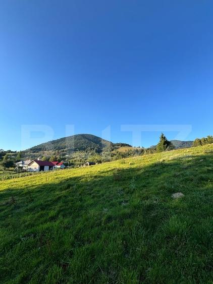 Teren de vânzare în Colibița – oportunitate de investiție - 4