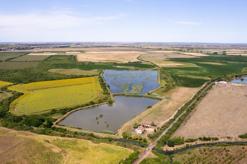Teren extravilan de 66500 mp, în Exterior Sud