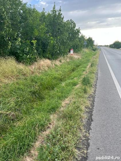Teren de 6300 mp, în Pielești